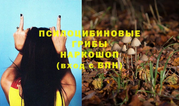 тгк Алексин