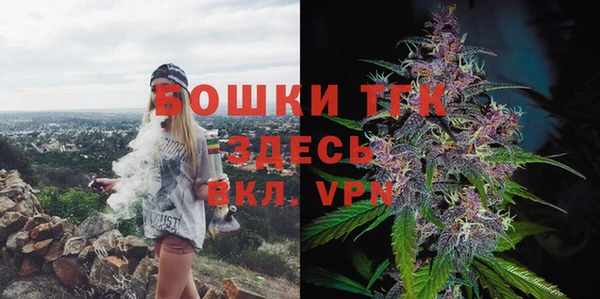 тгк Алексин