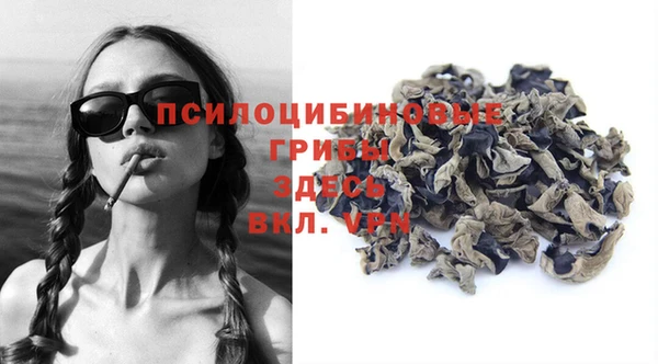стафф Алзамай