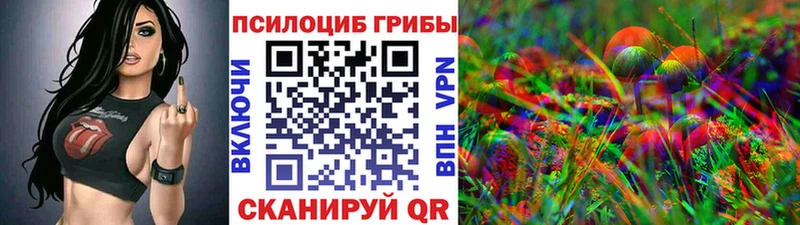 Псилоцибиновые грибы Magic Shrooms  Грайворон 